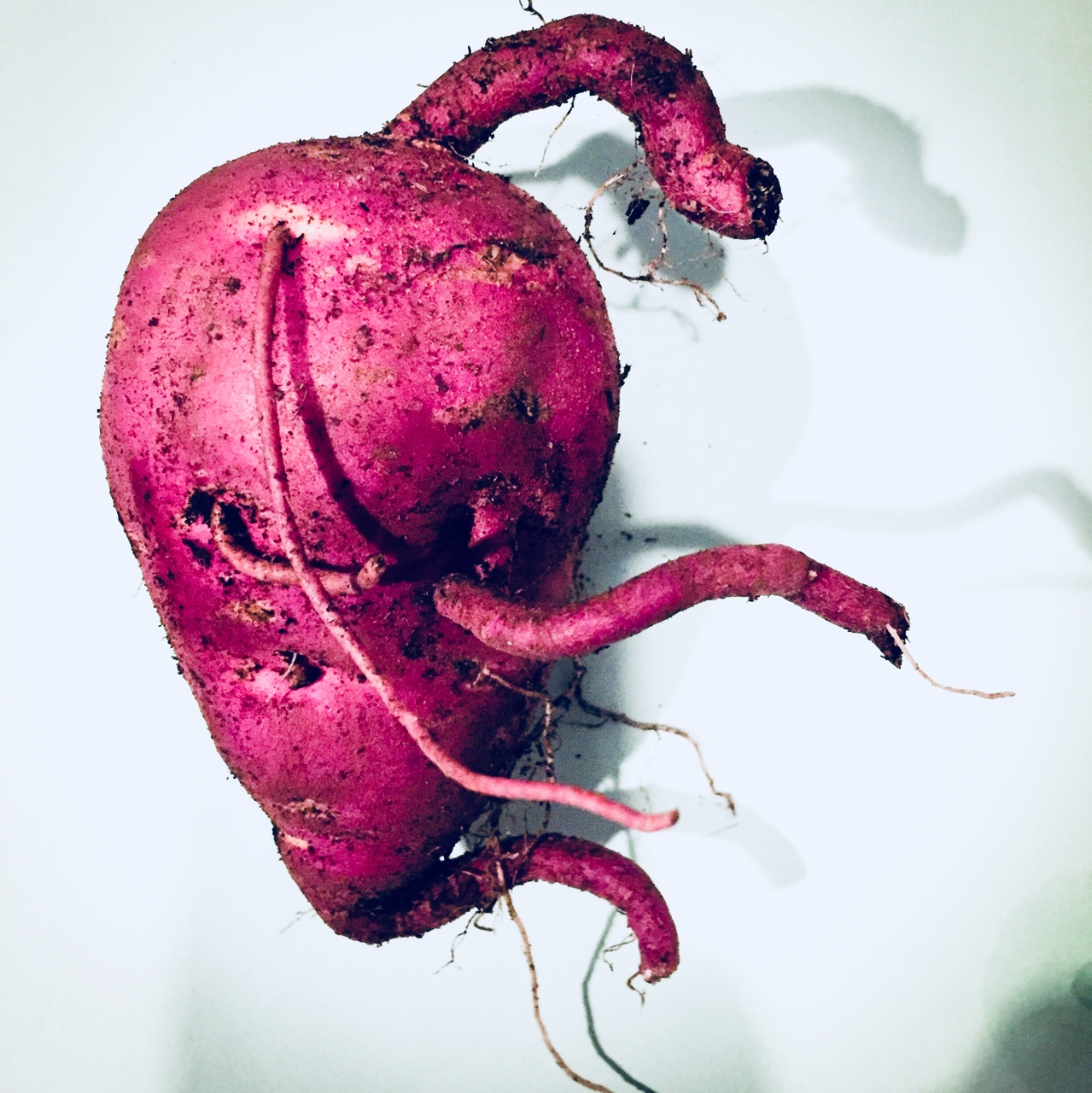 heart beets